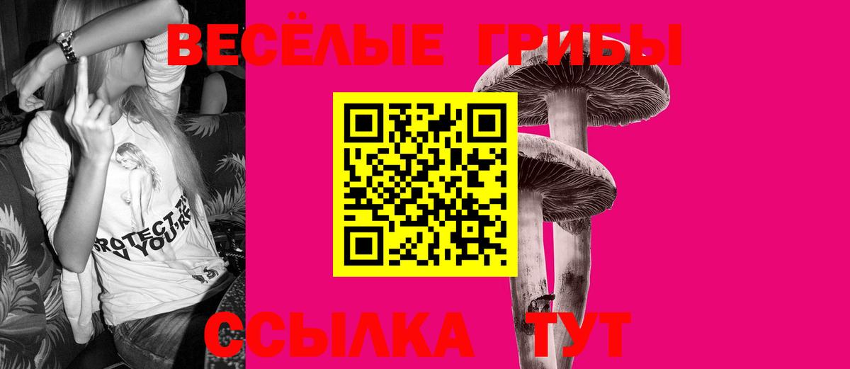 Галлюциногенные грибы мухоморы  Вход с VPN  сколько стоит  Знаменск 